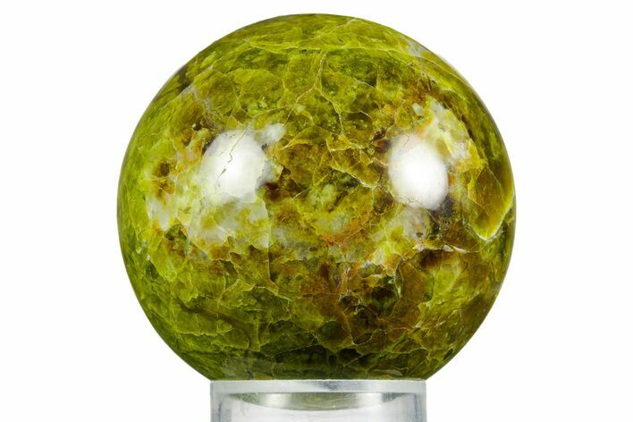 Polished Green Opal Sphere - Madagascar #361522